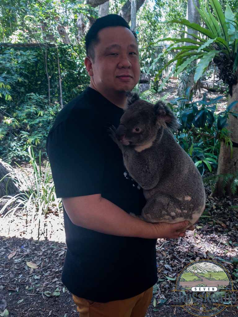 Holding a Koala at Lonepine Koala sanctuary