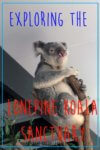 Lonepine Koala Sanctuary pin